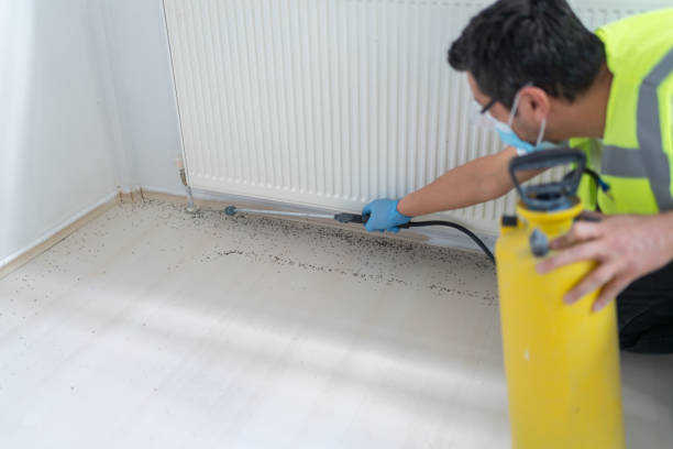 Best Wasp Removal Services  in El Mirage, AZ
